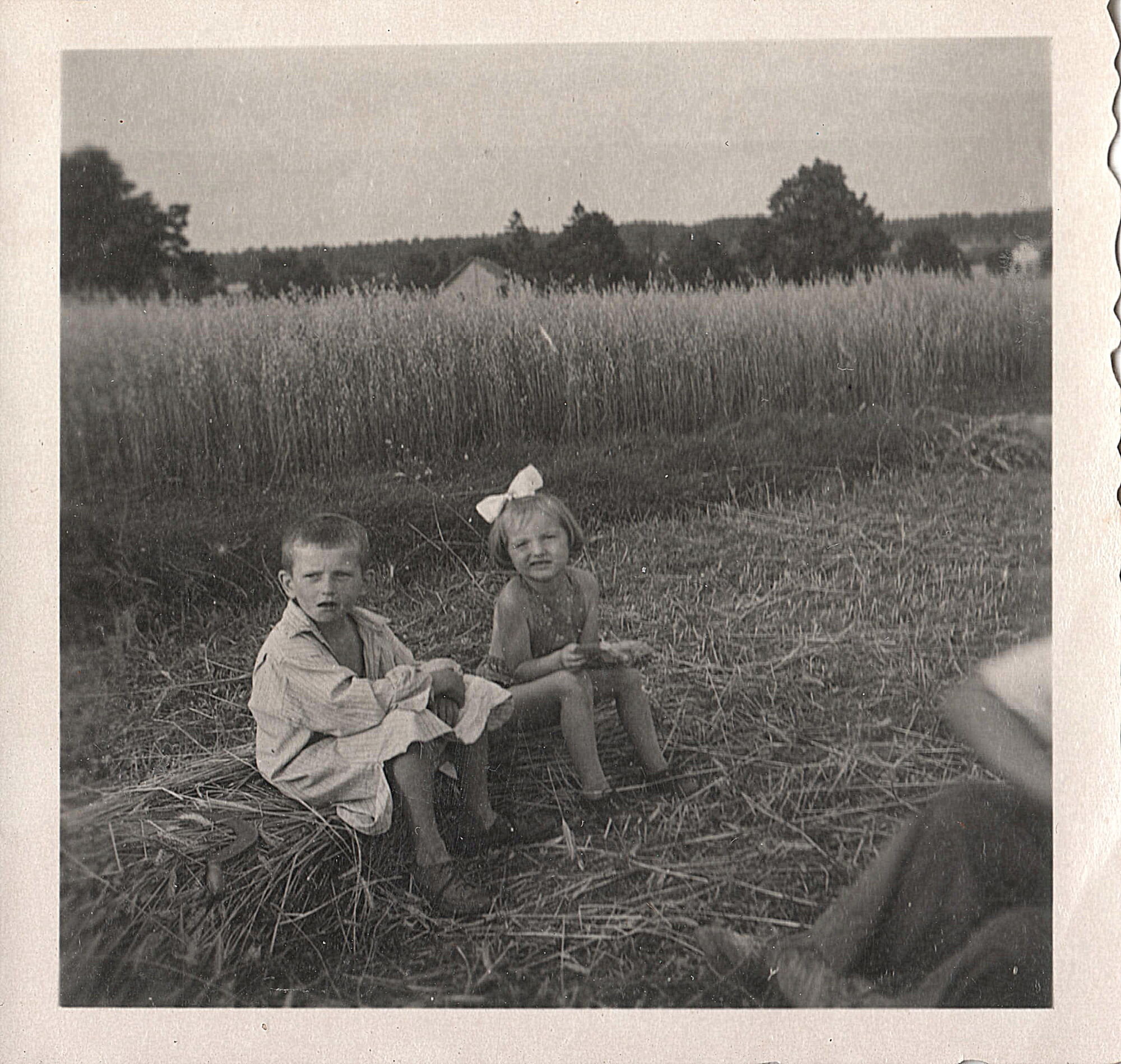 Josef Tajovský st.s Alenou Zadinovou cca rok 1956 na poli Tajovských 