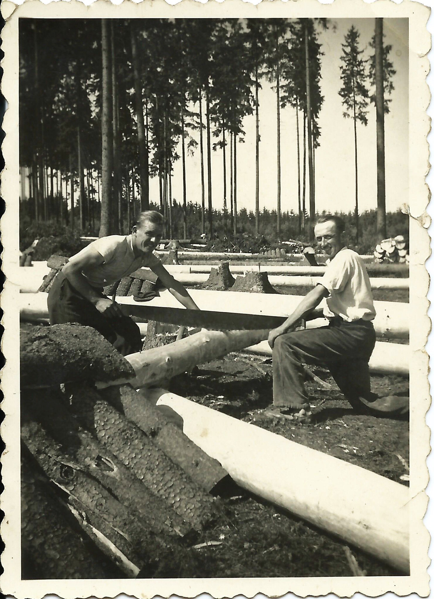 Práce v lese v okolí Žďáru – vlevo pan Pipek (otec paní Bublové)rok neznámý